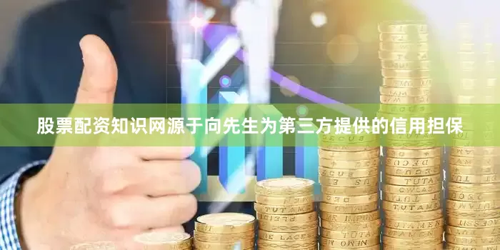 股票配资知识网源于向先生为第三方提供的信用担保